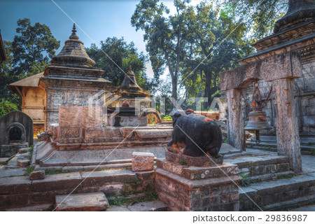 Pashupatinath Temple 29836987