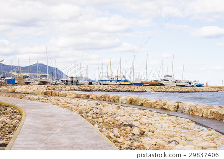 White yachts in the port 29837406