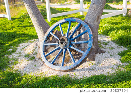 wooden wheel on a background of green grass 29837594