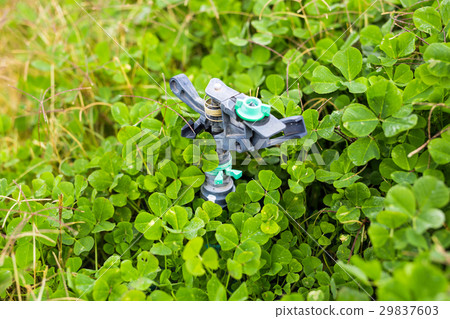 Sprinkler head for spraying water over green grass Sprinkler head for spraying water over green grass 29837603