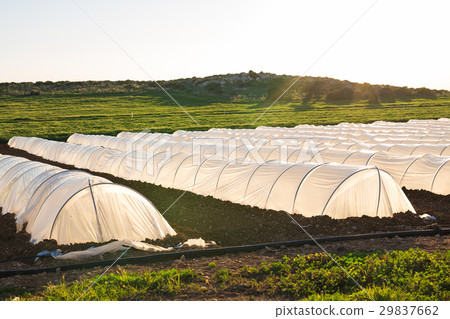 white small greenhouse in country garden in spring white small greenhouse in country garden in spring 29837662