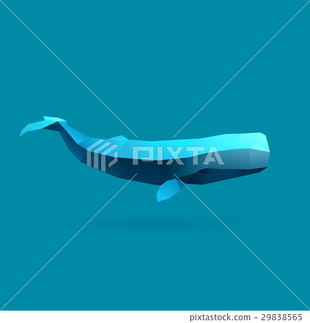 sperm whale 29838565