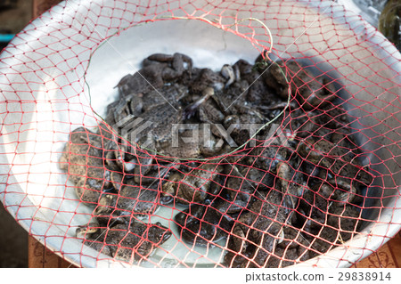 Da makai market 29838914