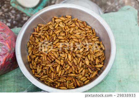 wasp larvae at market 29838933