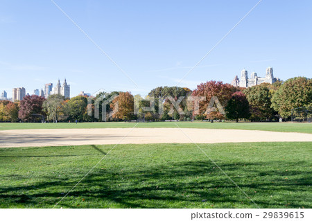 Great lawn located in the heart of Central Park  29839615