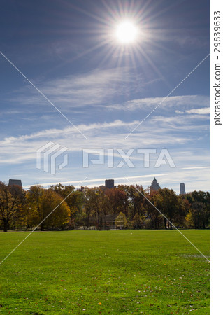 Great lawn located in the heart of Central Park  29839633