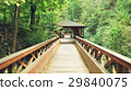 wooden bridge landscape 29840075