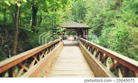 wooden bridge landscape wooden bridge landscape 29840075