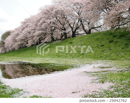 回撥 回撥 29842762