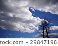 Sky cloud tree 29847196