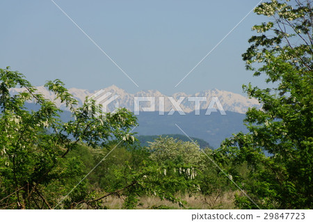 Northern Alps and Niseakashia (Harienju) Northern Alps and Niseakashia (Harienju) 29847723