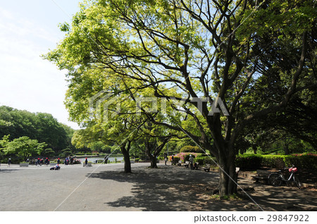 新綠園橫濱市兒童自然公園 29847922