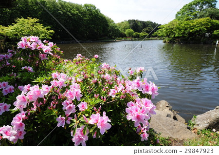新綠園橫濱市兒童自然公園 新綠園橫濱市兒童自然公園 29847923