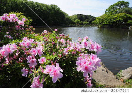 新綠園橫濱市兒童自然公園 29847924