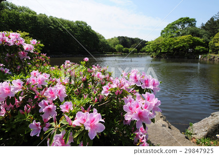 新綠園橫濱市兒童自然公園 29847925