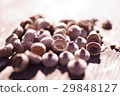 Acorn image material 29848127