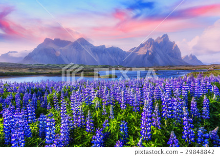 Stokksnes 29848842