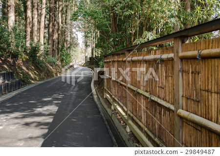 Chusonji寺 29849487