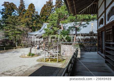 Chusonji寺 29849489