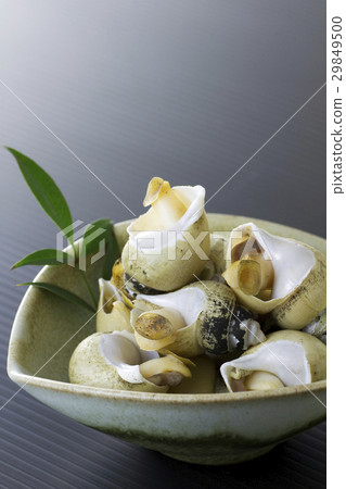 Salt boiling in the shellfish 11 29849500