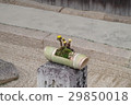 Flowers 29850018