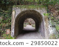 A tunnel 29850022