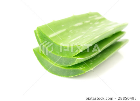 Closeup fresh aloe vera  on white background 29850493