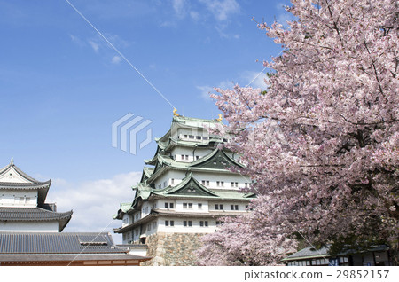 Nagoya city scenery · Spring's Nagoya castle Nagoya city scenery · Spring's Nagoya castle 29852157