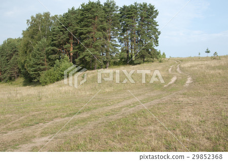 Landscape with dirt road Landscape with dirt road 29852368