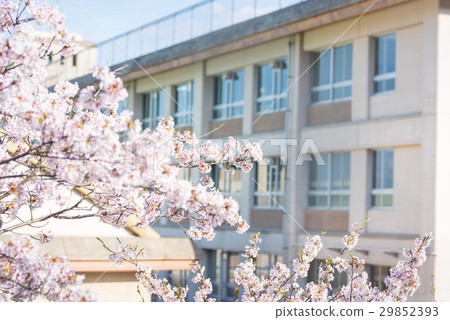 春天的學校 29852393