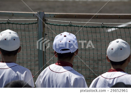 High school baseball player 29852961