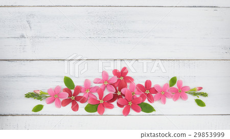 Wreath of pink and red flowers Wreath of pink and red flowers 29853999