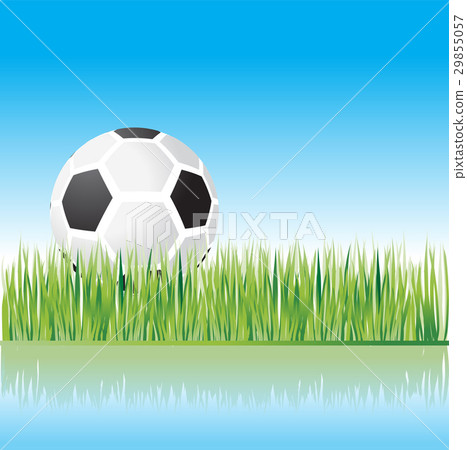 football on grass 29855057