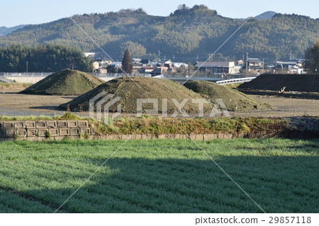 土地改良 29857118