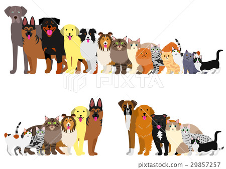 狗和貓邊界按高度的順序安排了 29857257