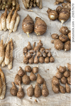 THAILAND CHIANG RAI MAE SALONG MARKET 29857670