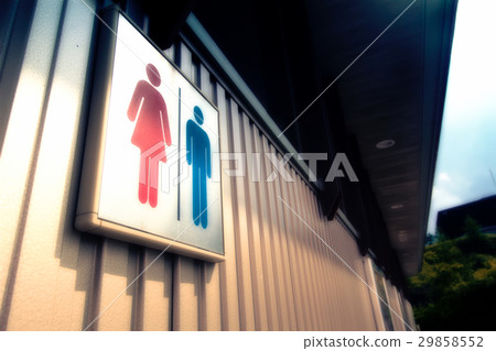 Information on the toilet 29858552