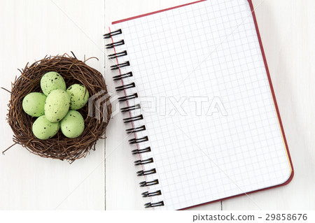 Blank notebook and nest with eggs Blank notebook and nest with eggs 29858676