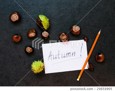 Mock-up with  chestnuts and a sheet of paper 29858905