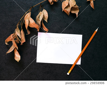Branch with dry leaves Branch with dry leaves 29858906