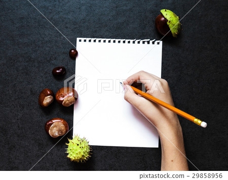 Mock-up with  chestnuts and a sheet of paper 29858956