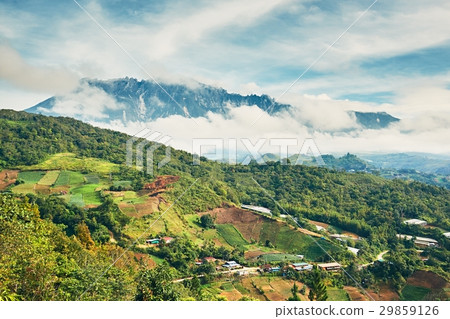 Landscape with Mount Kinabalu Landscape with Mount Kinabalu 29859126
