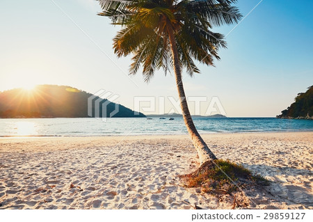 Sunset in paradise 29859127