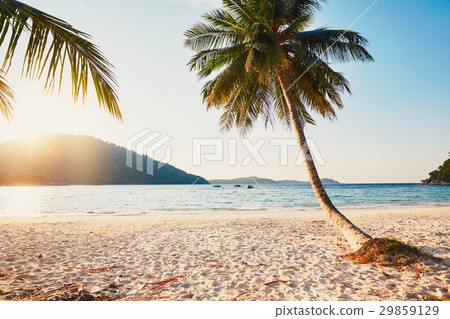Sunset in paradise 29859129