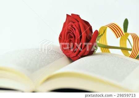 red rose and catalan flag in an open book 29859713
