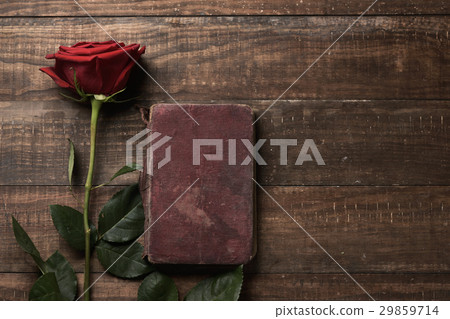 red rose and old book red rose and old book 29859714