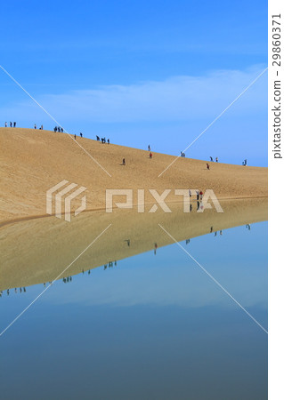 Tottori sand dune and oasis 29860371