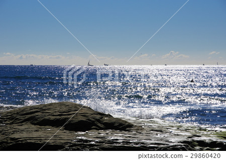 海 29860420