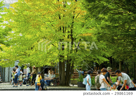 Tokyo Ueno Zoo, outdoor park, Tokyo Ueno Zoo, outdoor park, Tokyo Ueno Zoo, outdoor 29861169