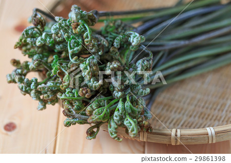 瓦拉比 瓦拉比 29861398